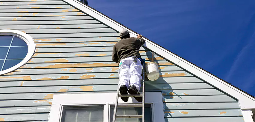 Professional Roof and Siding Repair Services in Glendale Heights, IL